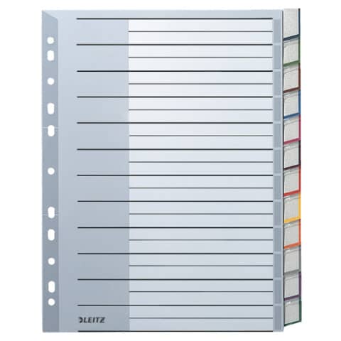 Plastikregister Blanko, A4, PP, 12 Blatt, grau LEITZ 1274-00-00