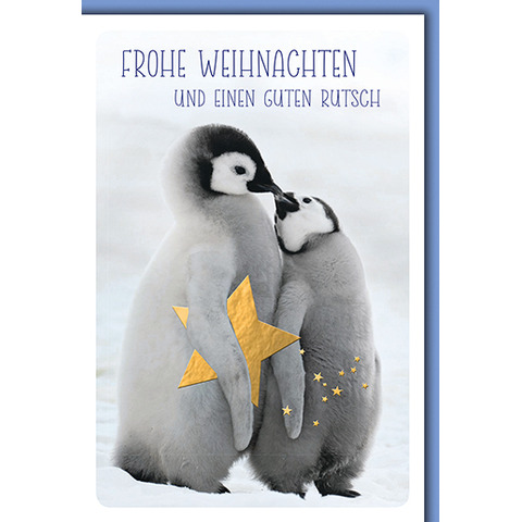 Tier, Vogel, Pinguin