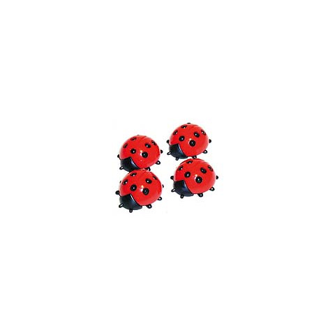 Blatt, Pflanze, Tier, Insekt, Wirbellose