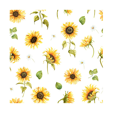 Blume, Pflanze, Sonnenblume